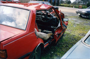 Anna's Car Wreck