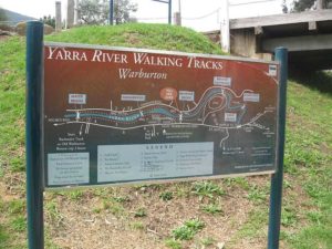 Warburton Yarra River Walking Tracks
