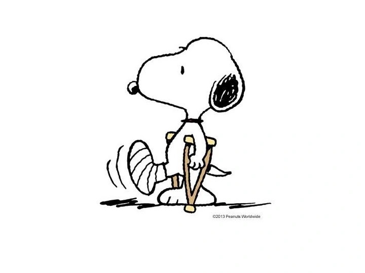 Snoopy with Broken Leg